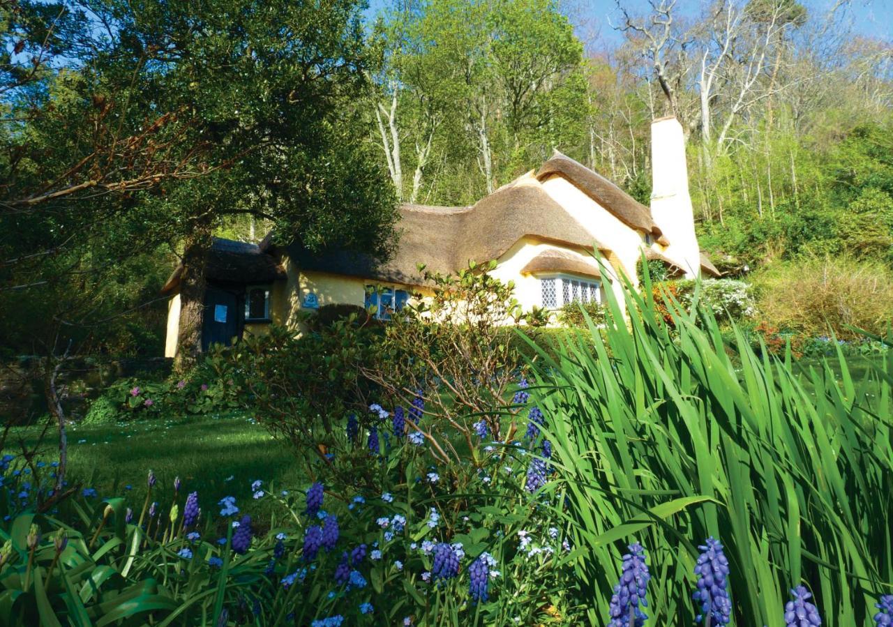 Southcliffe B&B Lynton Kültér fotó